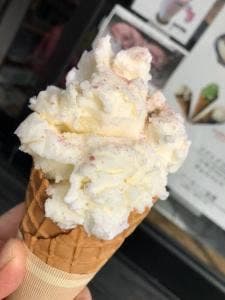 龍燈の松