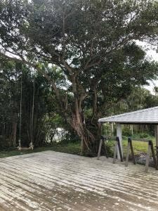 がじゅまるのブランコ