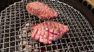 火煇 極