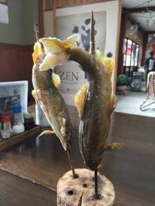 九頭竜天然鮎茶屋 さぎり屋