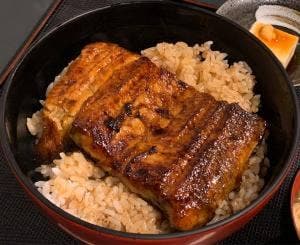 鰻・海鮮居酒屋 かわはち屋 心斎橋店