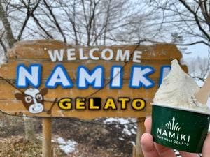 手作りジェラート店 ナミキ