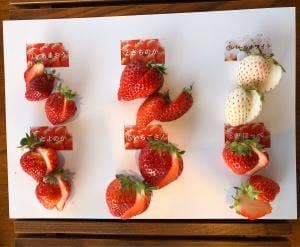 メインダイニング カバーナ アゴーラ福岡山の上ホテル&スパ