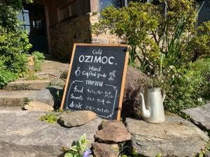 cafe OZIMOC