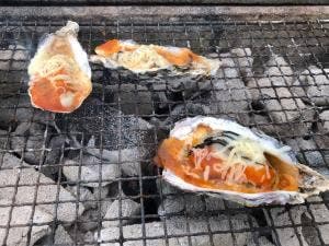 飛龍丸