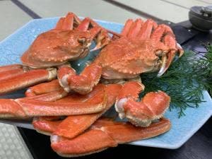和亭 油屋別館