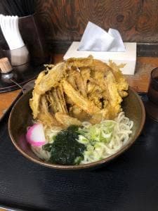 月うさぎ