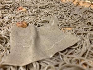 かど徳