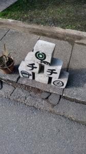 チチ