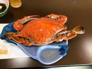 旅館・御食事処 田中屋