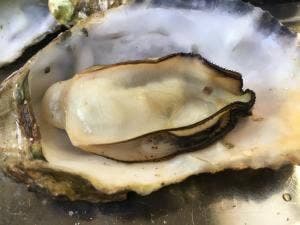 マルナカ水産 マルマ本店