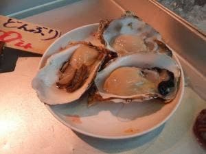 まぐろのみやこ