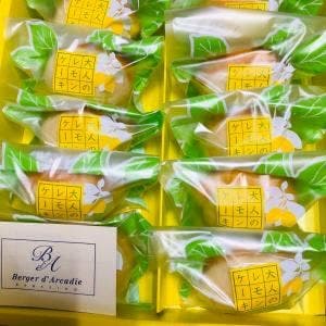 ベルジェ・ダルカディ弁慶堂