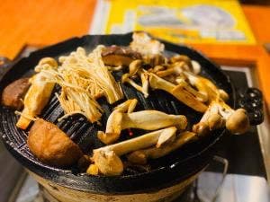 羊のヒカリ