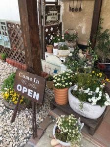うえのベーカリー パン屋 柿の木