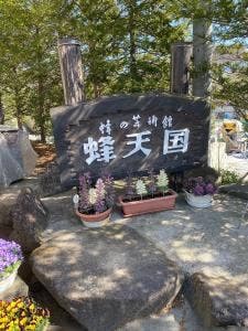 蜂天国