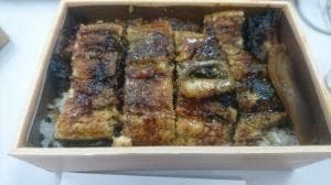 天然青うなぎ うじょう亭