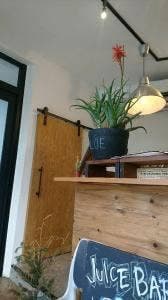 Juice Bar Rocket