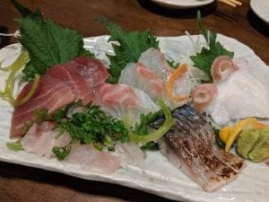 酒楽処 吉っ子