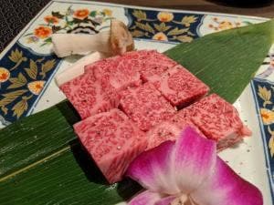牛追道中