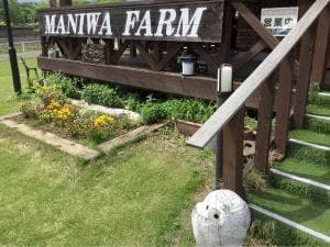 チーズケーキ工房 MANIWA FARM