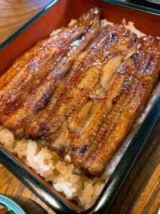 うなぎ菊水