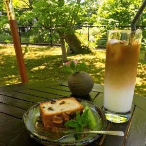 樹の音