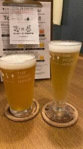 Craft Beer & Wine THE DODO HOUSE