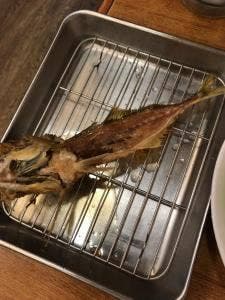 たぬき
