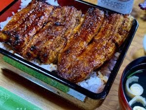 うなぎコジマヤ 本店