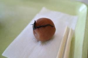 茶房かつら