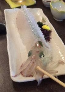 うつけ