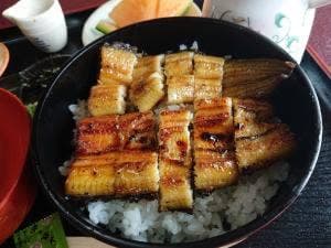 とほつあふみ