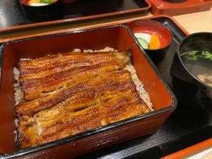 うなぎ割烹 白金台 まつ本