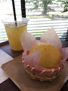 スールポッシュ