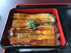 とほつあふみ