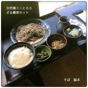 蕎麦 脇本