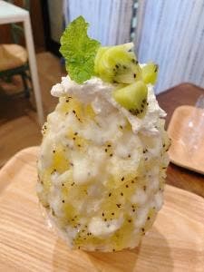 発酵Cafe マルカメ