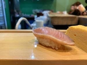 挙母鮨