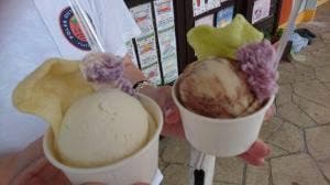 うるまジェラート