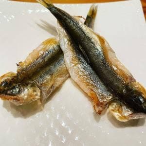 はつね寿司本店