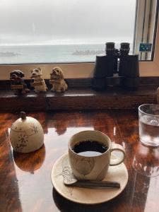 nonびりーの