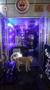 ソウルバー26