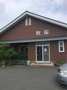 秋桜