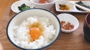 食堂かめっち。