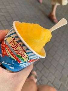 みかんの木&ドルチェ 坊っちゃん広場店