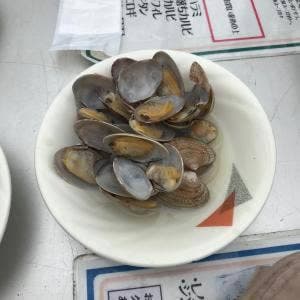 オリエンタルホテル高知 ビアガーデン