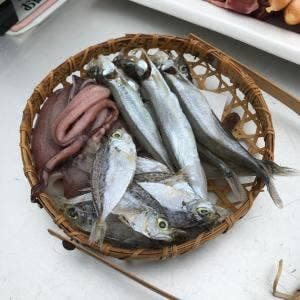 オリエンタルホテル高知 ビアガーデン