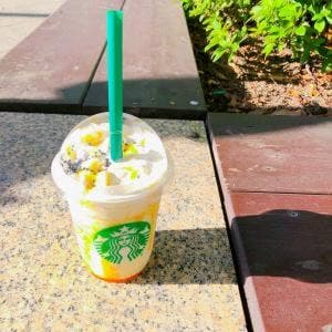 スターバックス コーヒー 阪神御影クラッセ店
