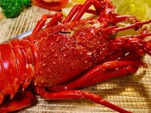 西伊豆町うぐす温泉 四季の里 まきば